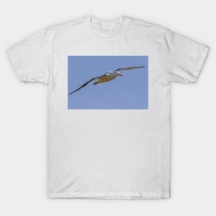 Royal Albatross T-Shirt